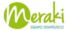 Equipo Meraki